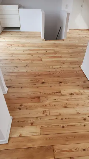 Kiefer im Wohnraum
